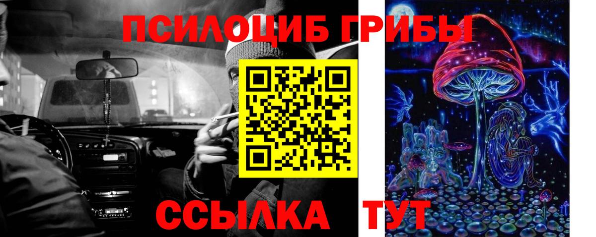 Галлюциногенные грибы мухоморы Уссурийск